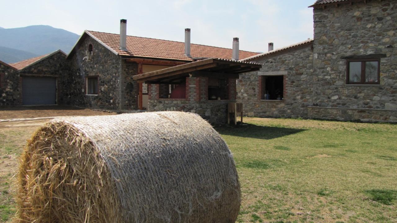 Ihnilatis Bed & Breakfast Керкини Екстериор снимка